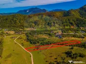 Teren Rasnov, Valea Panicelului 4253mp, izvor pe teren 