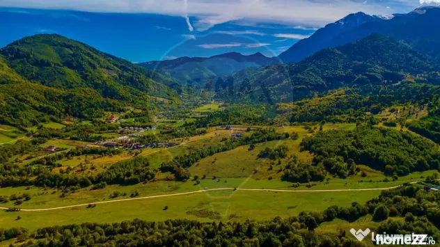 Teren Rasnov, Valea Panicelului 4253mp, izvor pe teren