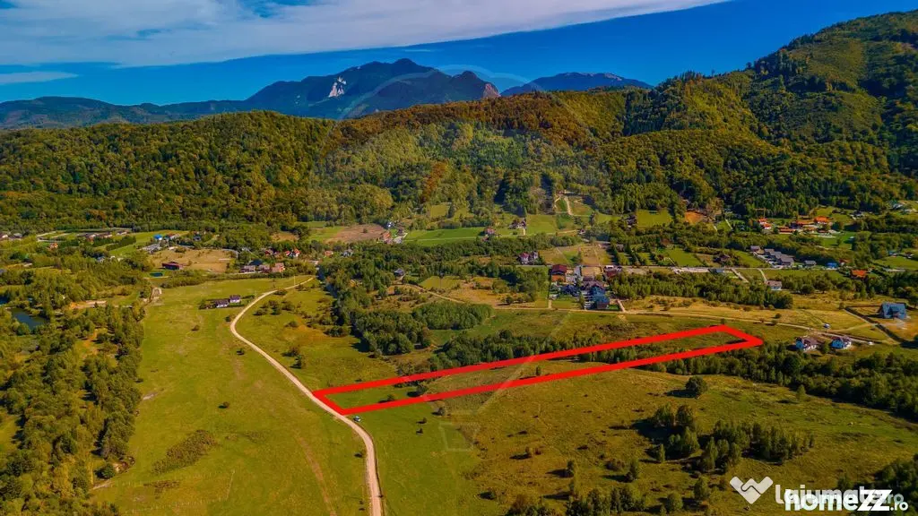 Teren Rasnov, Valea Panicelului 4253mp, izvor pe teren