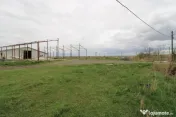 Hala in Foltesti