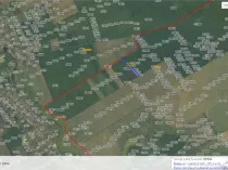 Teren intravilan 51000 mp - Oportunitate rara in Vasilati, C