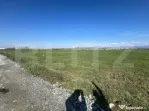 Teren extravilan , 8.650 mp, zona centura