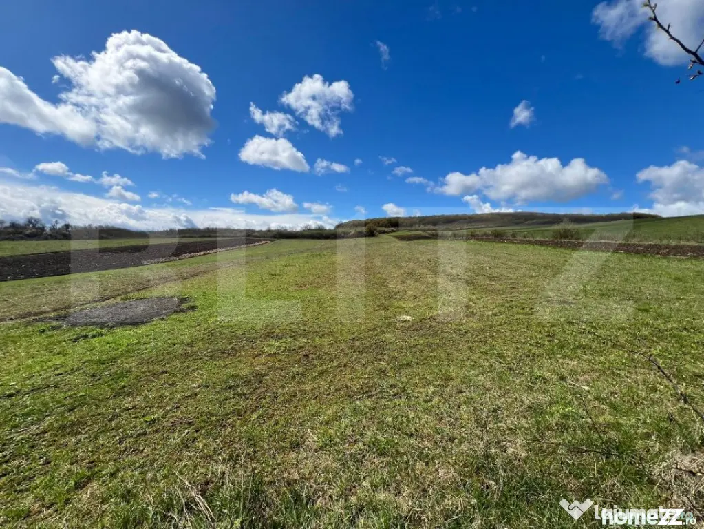 Teren extravilan de vânzare – 25 ari, panorama superbă, - Jelna (Bistrita-Nasaud)
