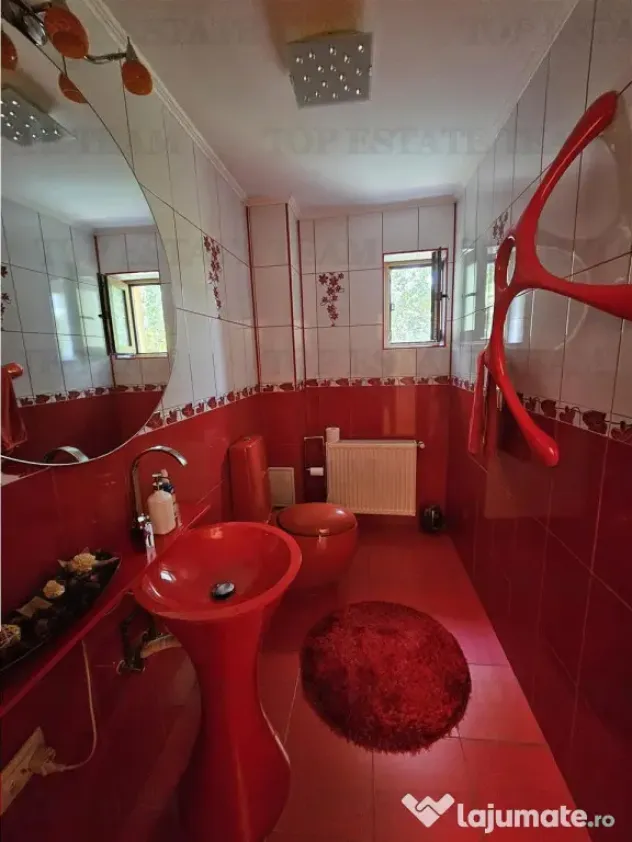 Vila lux 5 camere cu gradina superba centru Domnesti