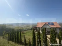 Casa de vacanta zona Ciugud