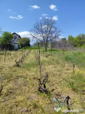 Teren intravilan 3.250 mp în Filești – Ideal pentru c... 