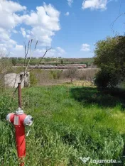 Teren intravilan 3.250 mp în Filești – Ideal pentru c... 