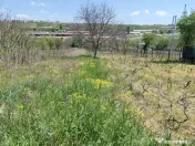Teren intravilan 3.250 mp în Filești – Ideal pentru c... 