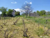 Teren intravilan 3.250 mp în Filești – Ideal pentru c... 
