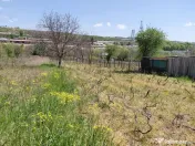 Teren intravilan 3.250 mp în Filești – Ideal pentru c... 