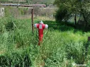 Teren intravilan 3.250 mp în Filești – Ideal pentru c... 