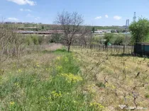 Teren intravilan 3.250 mp în Filești – Ideal pentru c...