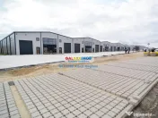 Hale Industriale Centura Rudeni Chitila Centura 415 mp/978 m 