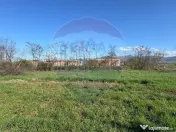 TEREN DE VÂNZARE ÎN MERISOR 