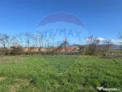 TEREN DE VÂNZARE ÎN MERISOR 