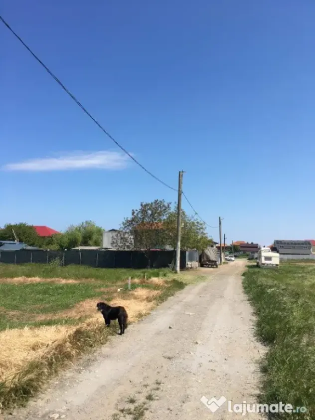 Teren intravilan Constanta zona Km5 Vila Cucoanei
