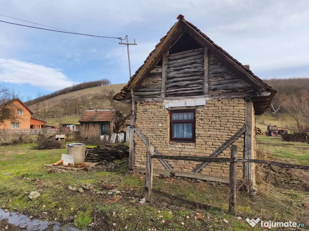 Teren 6000mp Julita, Arad