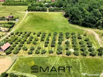 Teren extravilan 5000mp zona Cisnadie