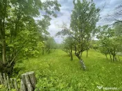 Teren intravilan Sotrile 6762 mp – Investitie, camping, ag 