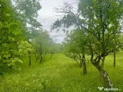 Teren intravilan Sotrile 6762 mp – Investitie, camping, ag 