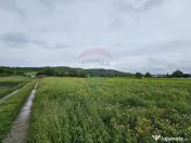 Teren 1,495mp Dobreni / Strada Parau Almas 