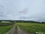 Teren 1,495mp Dobreni / Strada Parau Almas