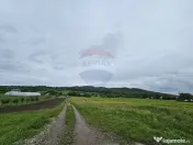 Teren 1,495mp Dobreni / Strada Parau Almas 