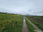 Teren 1,495mp Dobreni / Strada Parau Almas 