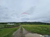 Teren 1,495mp Dobreni / Strada Parau Almas 