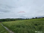 Teren 1,495mp Dobreni / Strada Parau Almas 