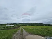 Teren 1,495mp Dobreni / Strada Parau Almas 