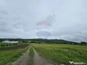 Teren 1,495mp Dobreni / Strada Parau Almas 