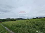 Teren 1,495mp Dobreni / Strada Parau Almas 