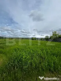 ????Teren extravilan 2.800 mp în Livezile