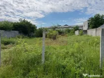 Teren Ghencea- Dantelei- Darvari.