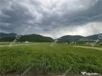 Teren intravilan de 3477 mp cu deschidere de 35 m in Boita