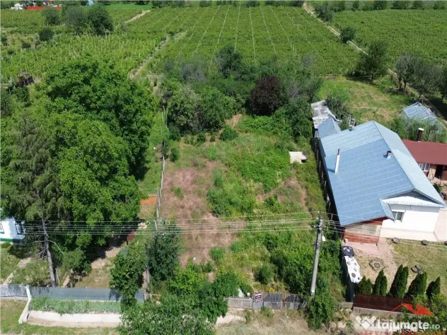 Teren intravilan de a in Valea Cotesti cu utilitati 1.790 mp