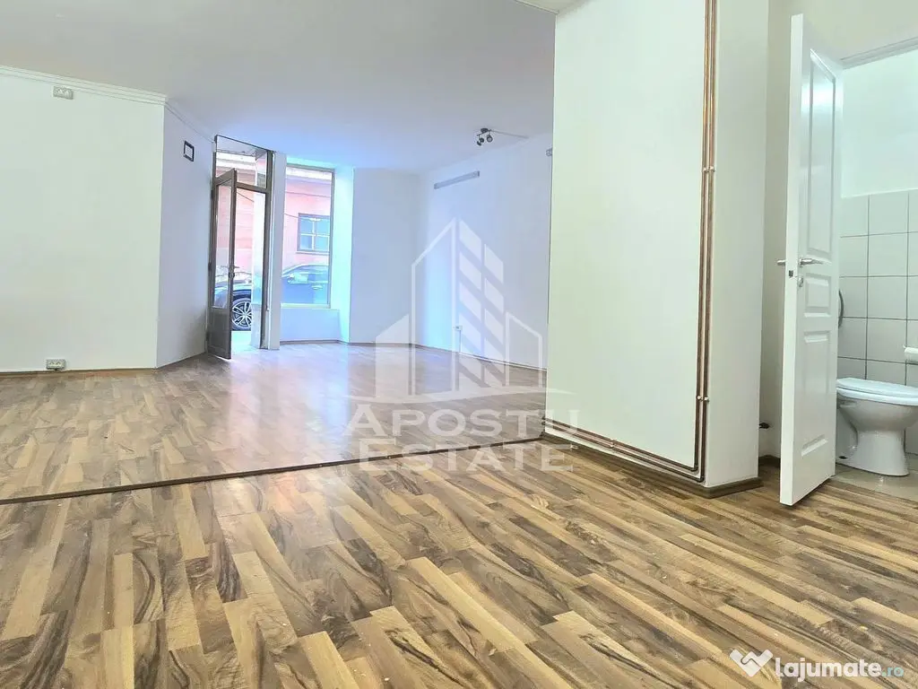 Spatiul comercial central - Arad (Arad)