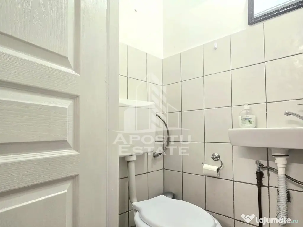 Spatiul comercial central - Arad (Arad)