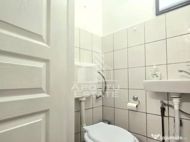 Spatiul comercial central - Arad (Arad)
