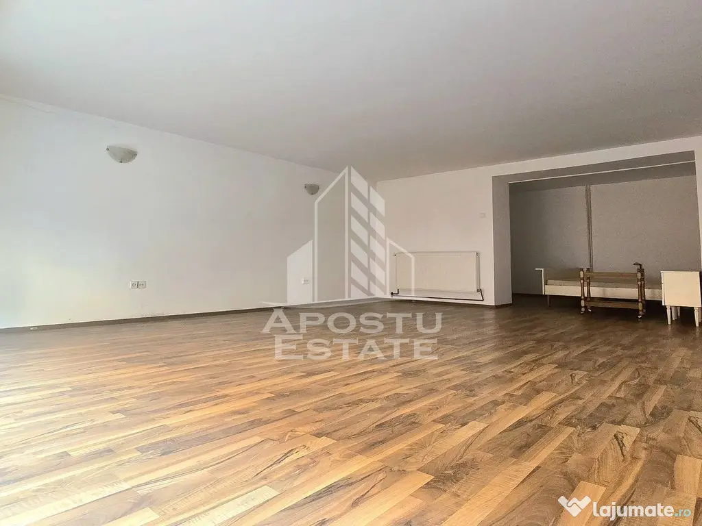 Spatiul comercial central - Arad (Arad)