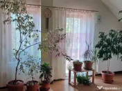 Joița, vilă 5 camere 187 mp utili + garaj, terasă, piv... 