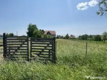 Teren intravilan ,2000 mp,Radauti