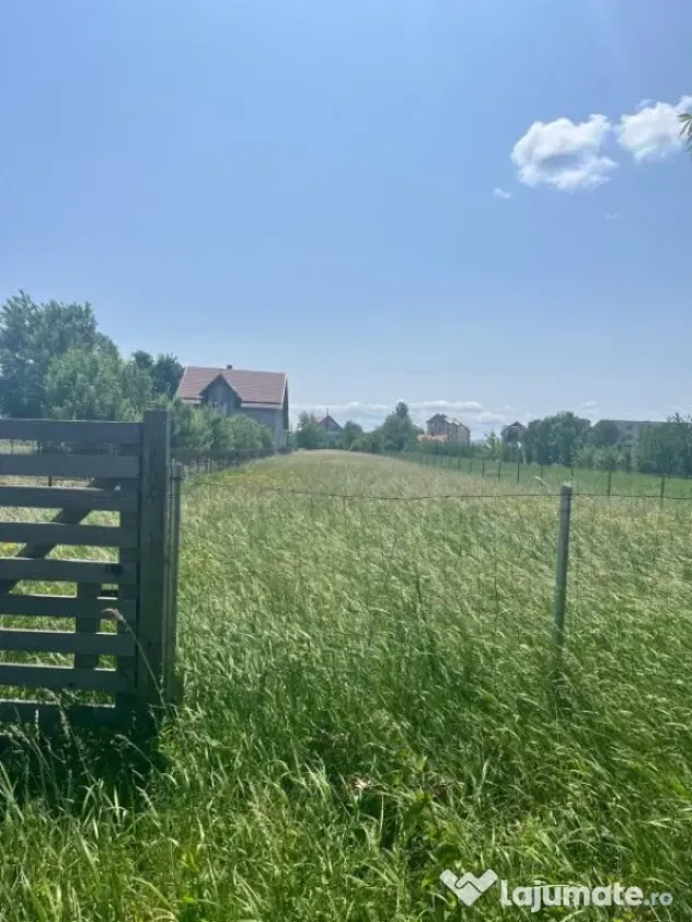 Teren intravilan ,2000 mp,Radauti