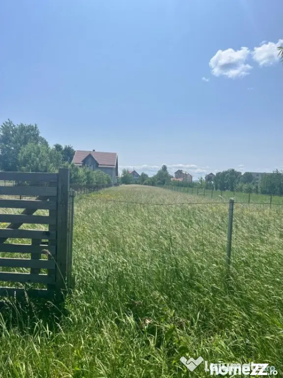 Teren intravilan ,2000 mp,Radauti