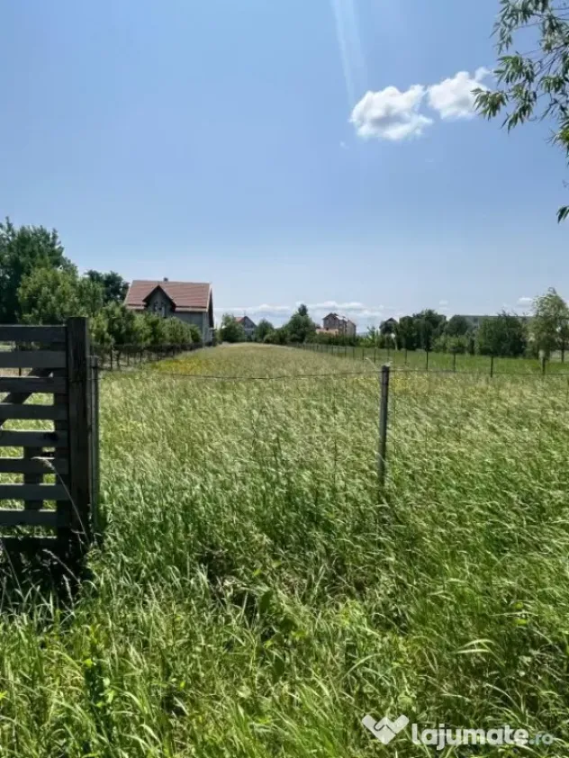 Teren intravilan ,2000 mp,Radauti