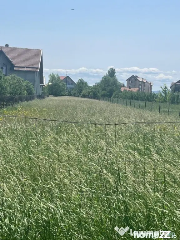 Teren intravilan ,2000 mp,Radauti