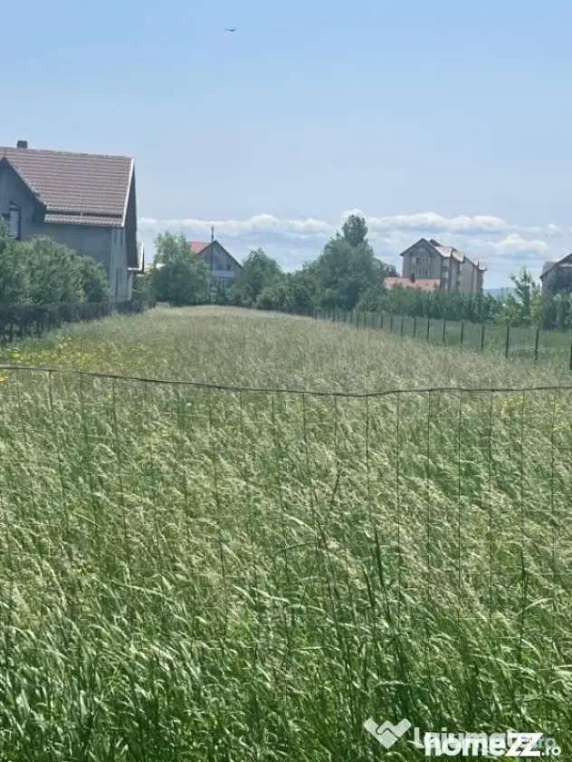 Teren intravilan ,2000 mp,Radauti