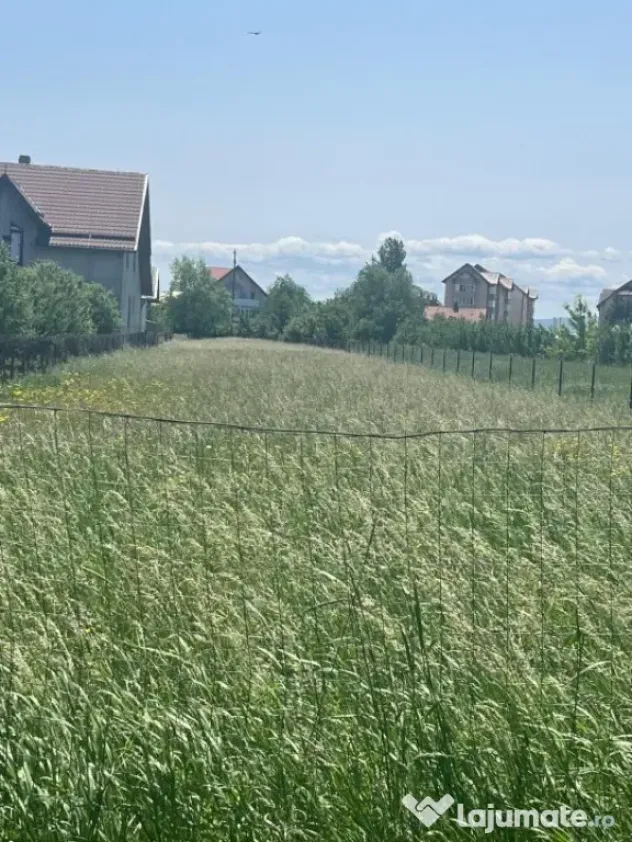 Teren intravilan ,2000 mp,Radauti