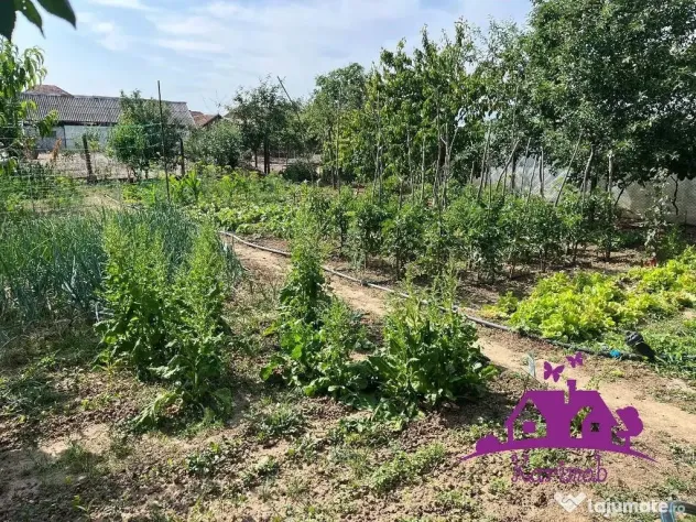 Casa in localitatea Nojorid
